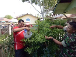 Masyarakat Inhil Diminta Manfaatkan Pekarangan Rumah